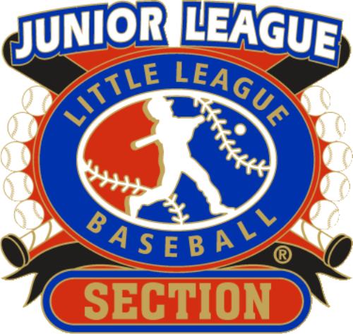 1 1/4" Junior League Section Baseball Pin-2805
