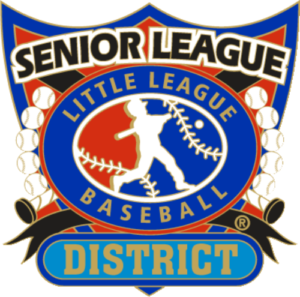 1 1/4" Senior League District Baseball Pin-2809