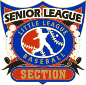1 1/4" Senior League Section Baseball Pin-2810