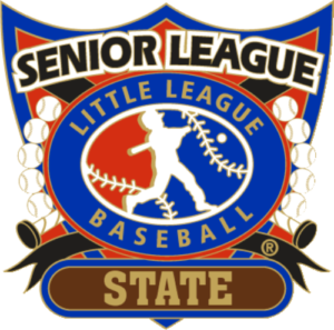 1 1/4" Senior League State Baseball Pin-2811