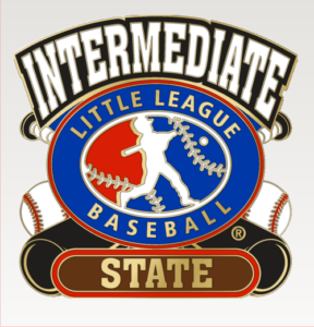 1 1/4" Intermediate State Baseball Pin-2827