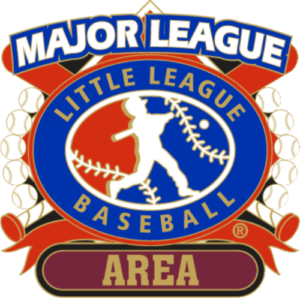 1 1/4" Major League Area Baseball Pin-2799