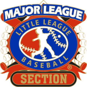 1 1/4" Major League Section Baseball Pin-2800