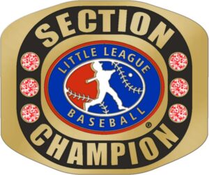 Little League SECTION CHAMPION Baseball Ring with Little League Logo. Comes with 25" Chain and Velvet Pouch. size 10-3167